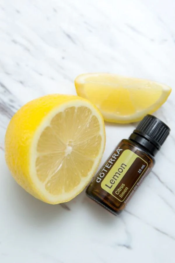 doTERRA BOGO: Buy Purify, Get Lemon FREE - Image 3