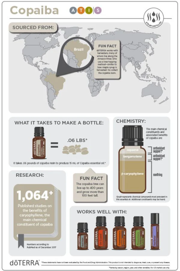 doTERRA Copaiba Essential Oil 5 mL - Image 3