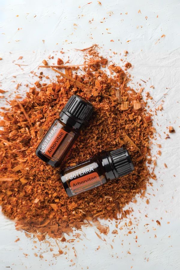 doTERRA Arborvitae Essential Oil - Image 4