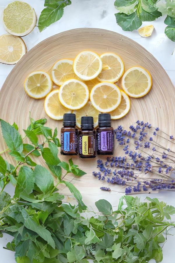 doTERRA Beginner's Trio Kit - Image 3