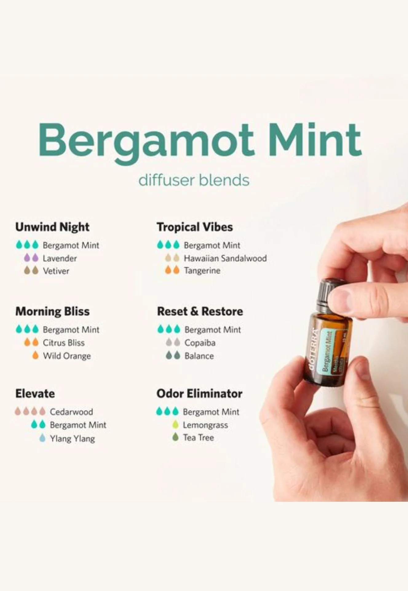 doTERRA Bergamot Mint Essential Oil - Image 3