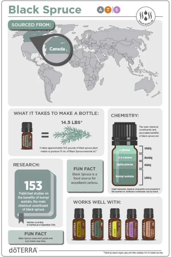 doTERRA Black Spruce Essential Oil - Image 4