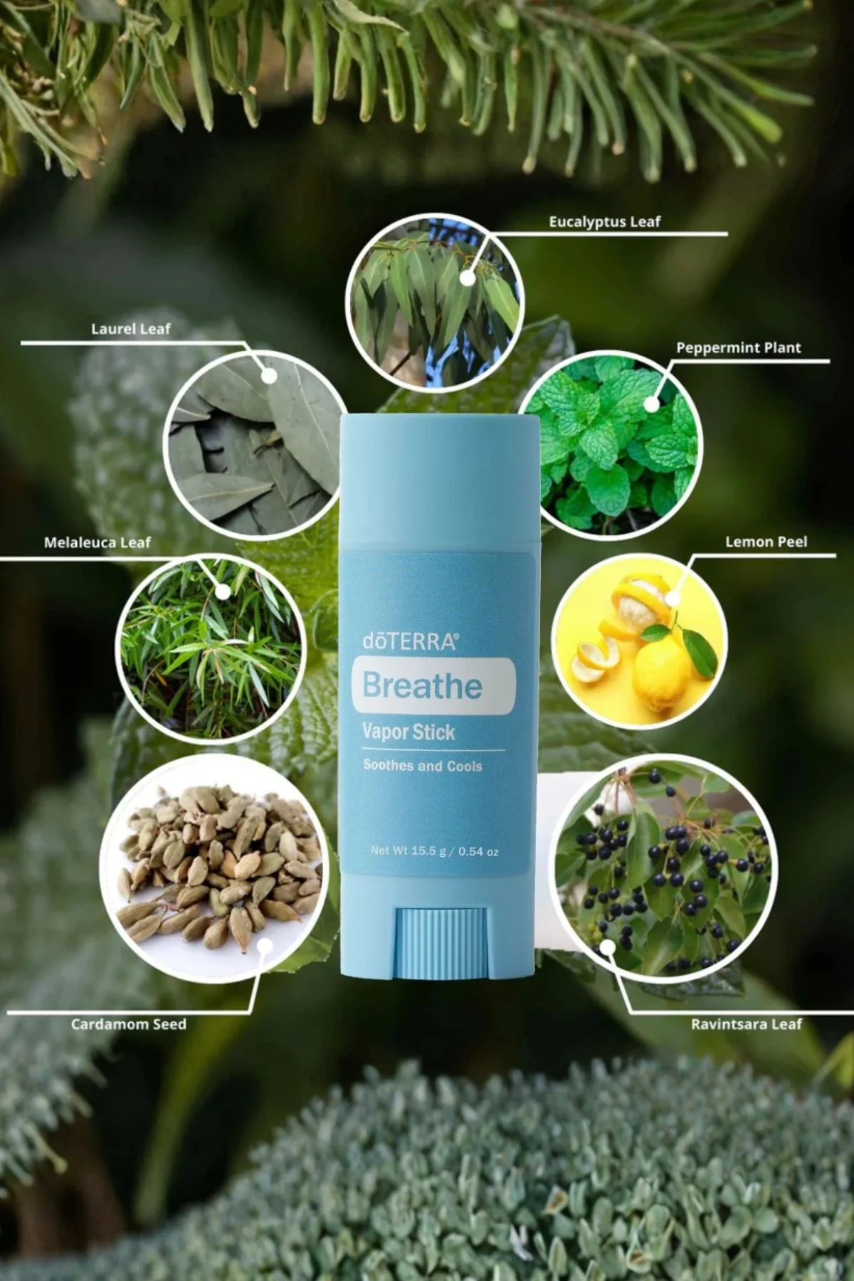 doTERRA Breathe Vapor Stick - Image 4