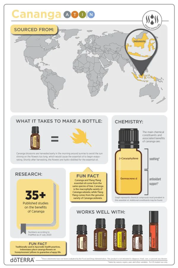 doTERRA Cananga Essential OIl - Image 4