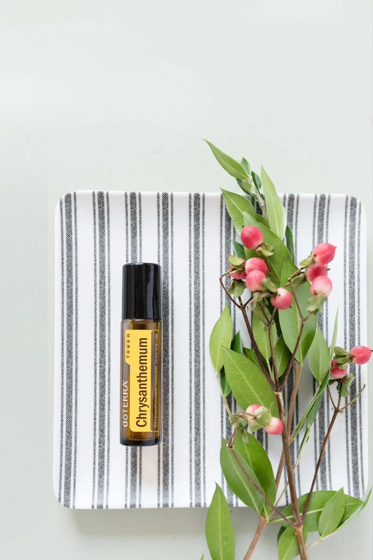doTERRA Chrysanthemum Touch Roll-on - Image 2