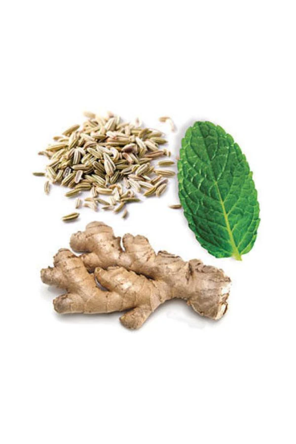 doTERRA DigestZen Digestive Blend - Image 4