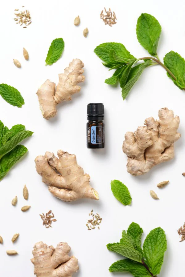 doTERRA DigestZen Digestive Blend 5 mL - Image 3