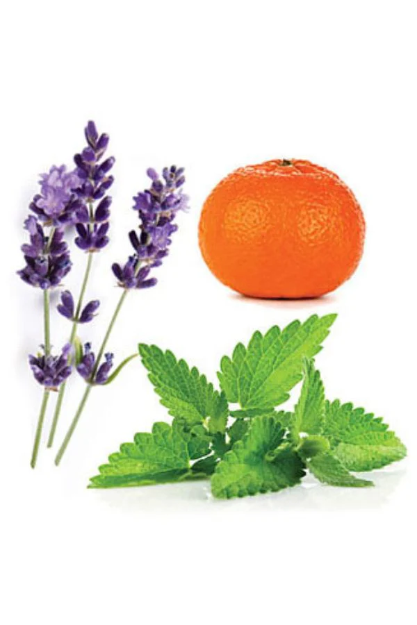 doTERRA Elevation Blend - Image 2