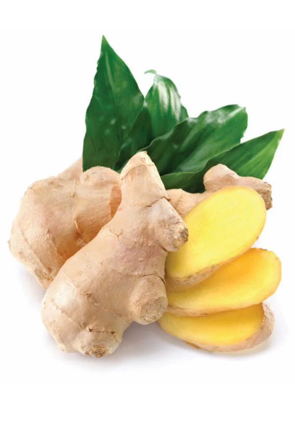 doTERRA Ginger Digestive Drops - Image 5