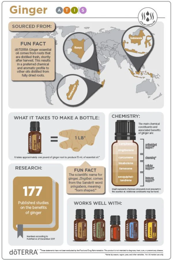 doTERRA Ginger Essential Oil - Image 4