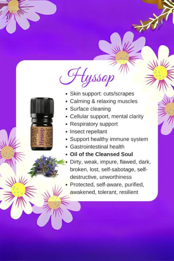 doTERRA Hyssop Essential Oil - Image 4