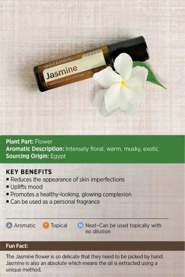 doTERRA Jasmine Touch Roll-on - Image 3