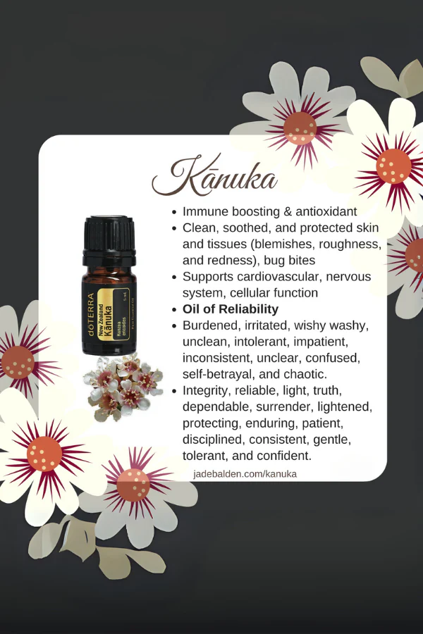 doTERRA Kanuka Essential Oil - Image 2