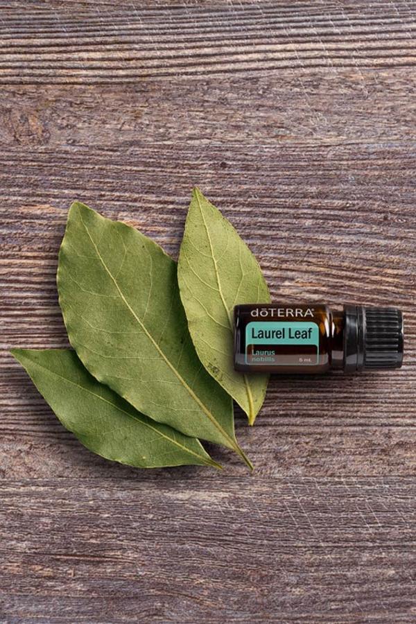 doTERRA Laurel Leaf Essential Oil - Image 2