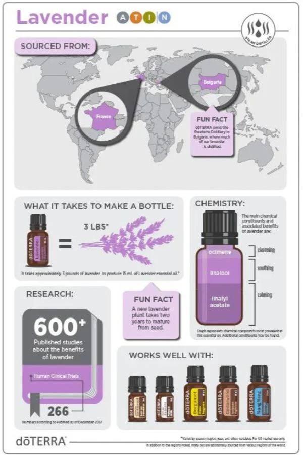 doTERRA Lavender Essential Oil - Image 4