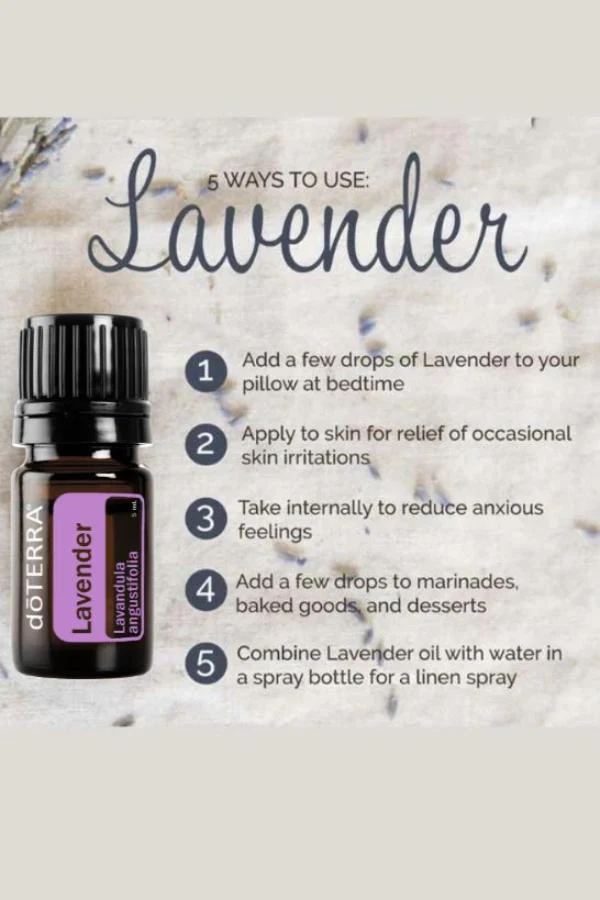 doTERRA Lavender Essential Oil 5 mL - Image 3