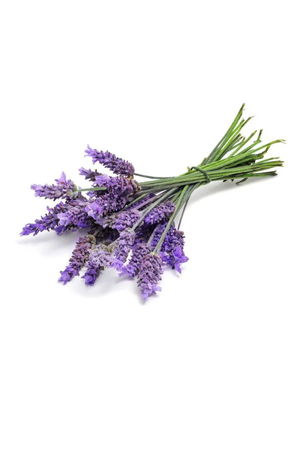 doTERRA Lavender Touch Roll-on - Image 2
