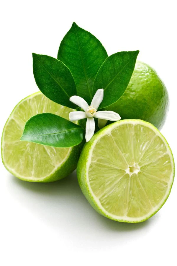 doTERRA Lime Essential Oil - Image 2