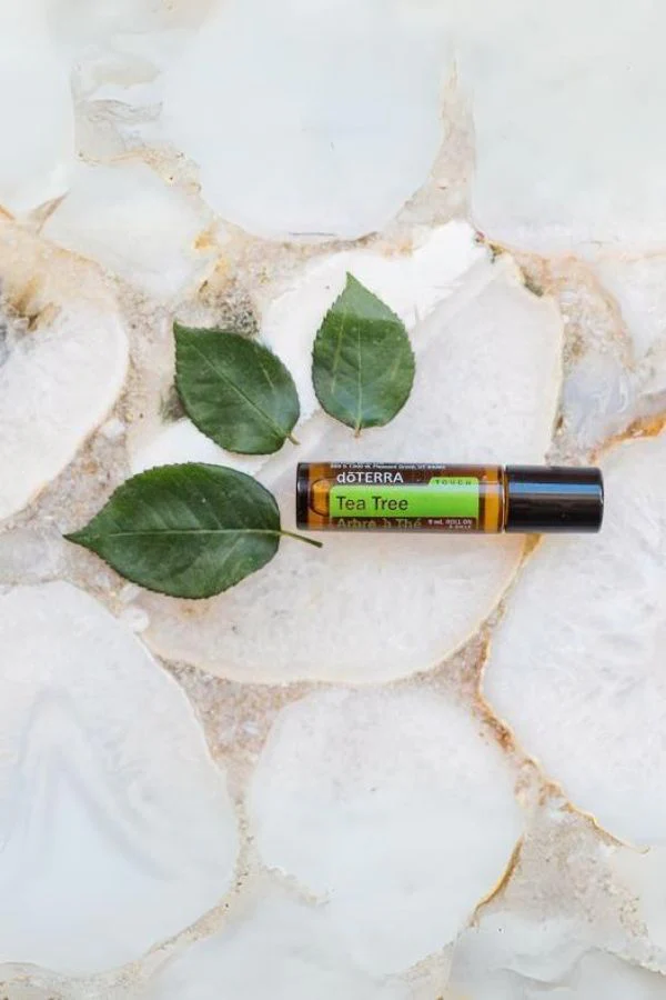 doTERRA Tea Tree (Melaleuca) Touch roll-on - Image 3
