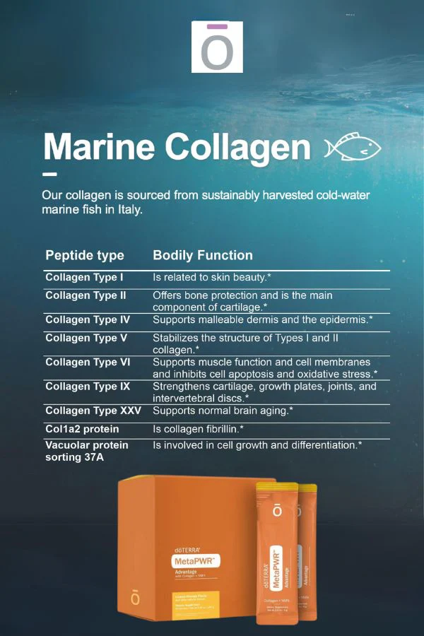 doTERRA MetaPWR Advantage Collagen - Image 3