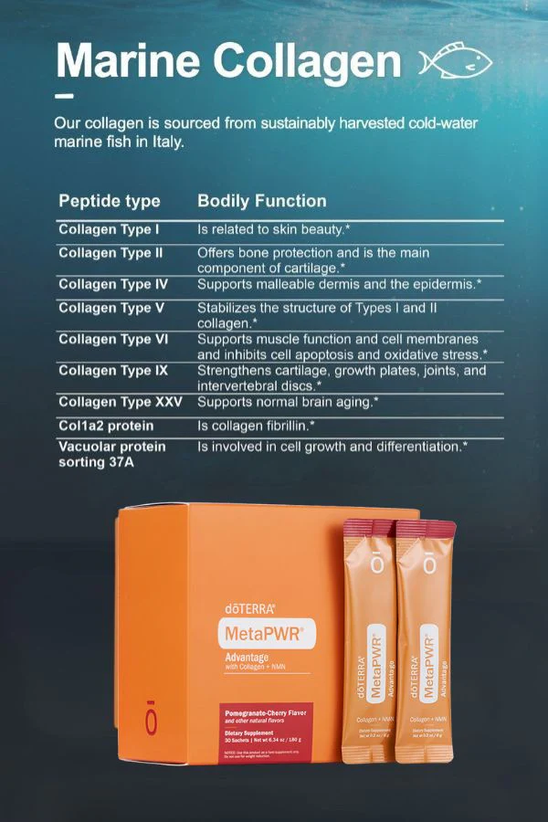 doTERRA MetaPWR Advantage Collagen - Image 8