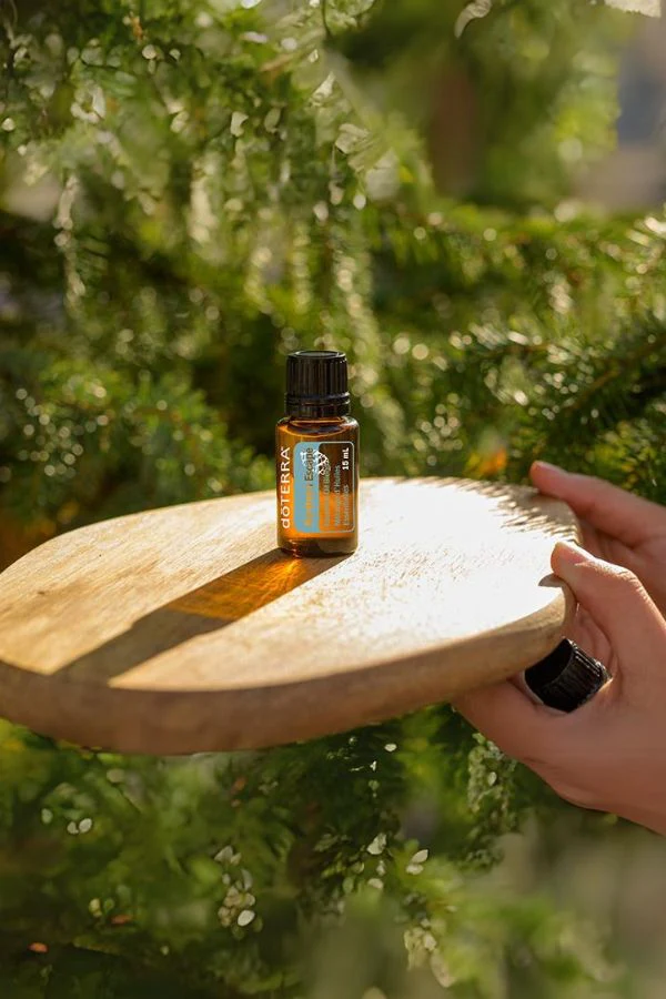 doTERRA Northern Escape Blend - Image 3