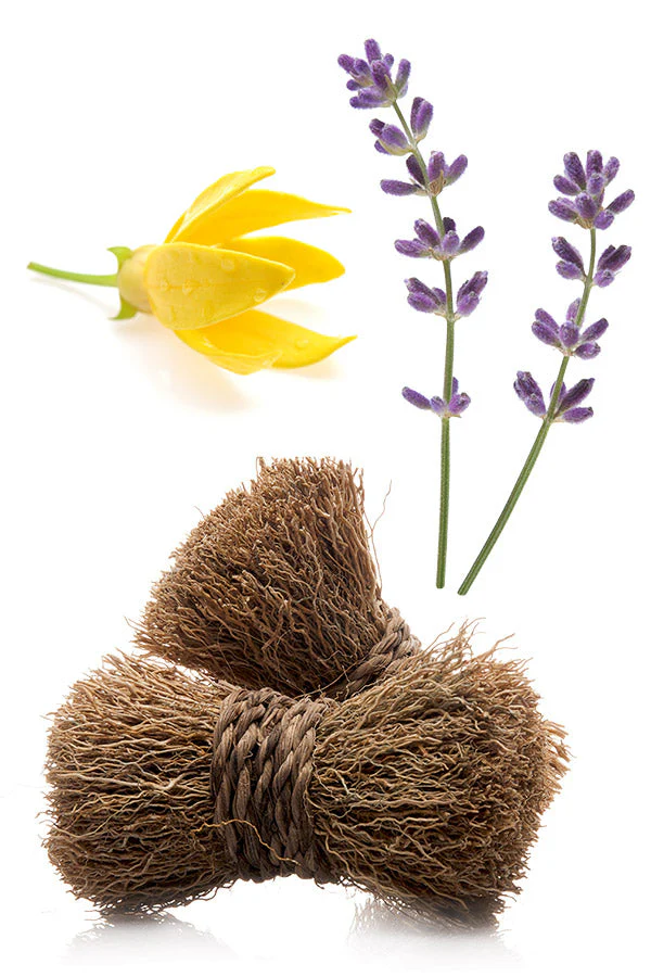doTERRA Peace Touch Roll-on - Image 4