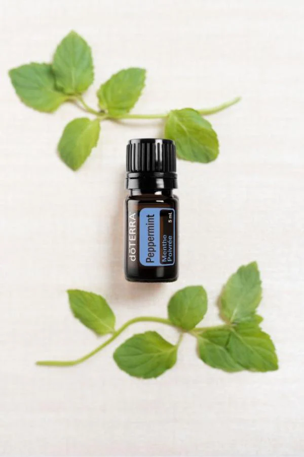 doTERRA Peppermint Essential Oil 5 mL - Image 2