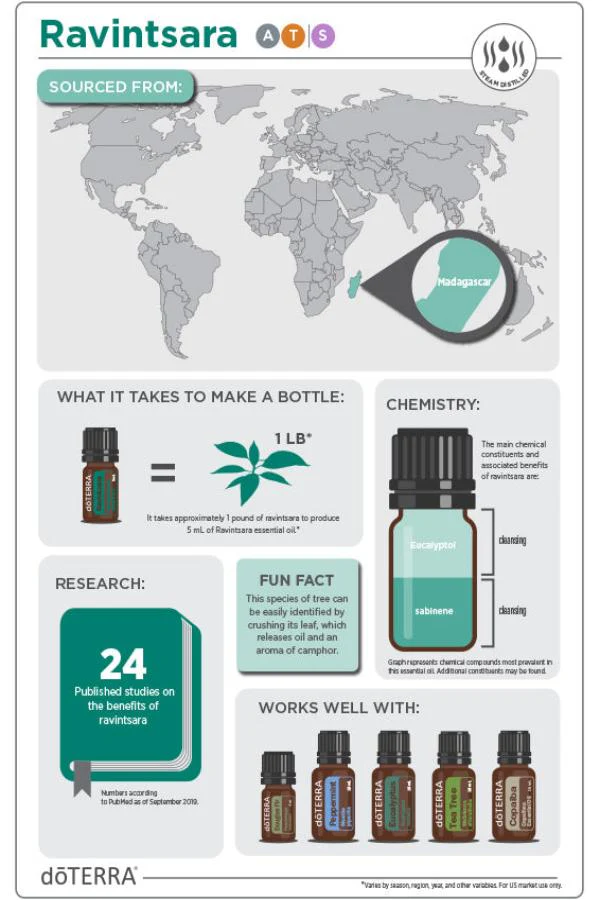 doTERRA Ravintsara Essential Oil - Image 4