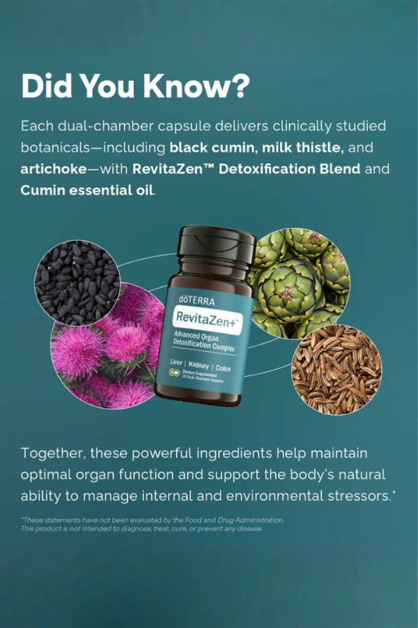 doTERRA RevitaZen Detoxification Complex - Image 4