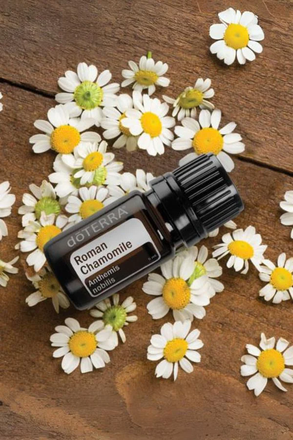 doTERRA Roman Chamomile Essential Oil - Image 3
