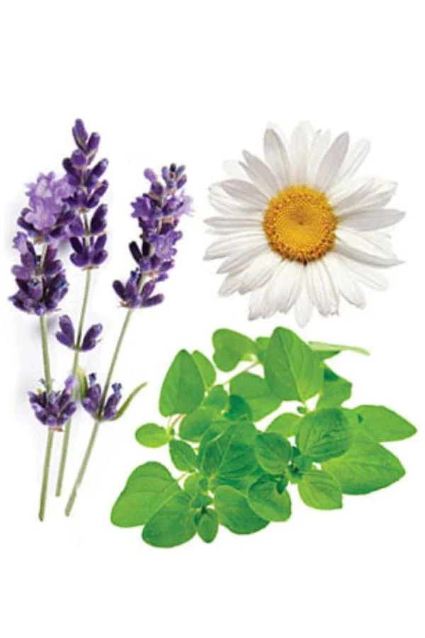 doTERRA Serenity Touch Roll-on Blend - Image 4