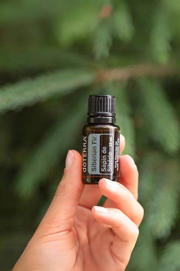 doTERRA Siberian Fir Essential Oil - Image 2