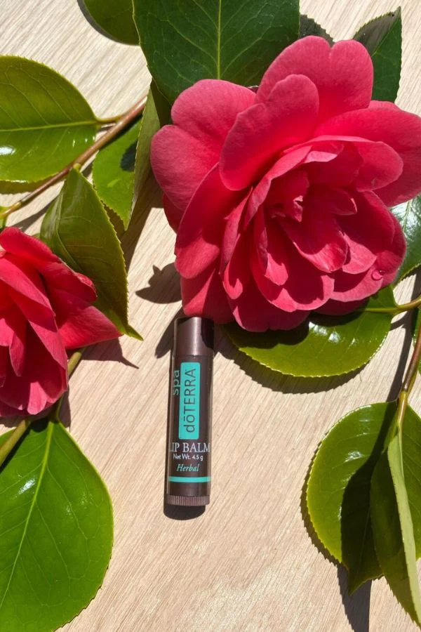 doTERRA Herbal Lip Balm - Image 3