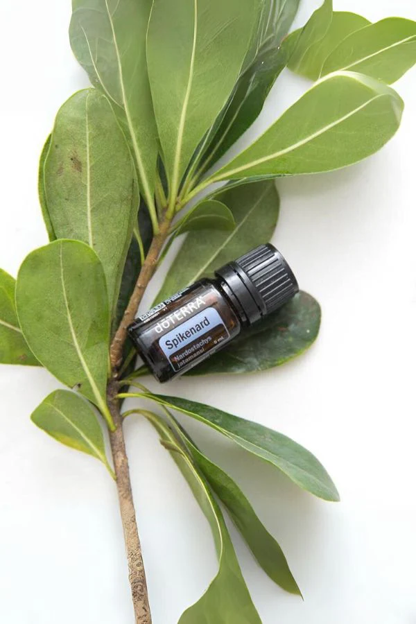 doTERRA Spikenard Essential Oil - Image 2