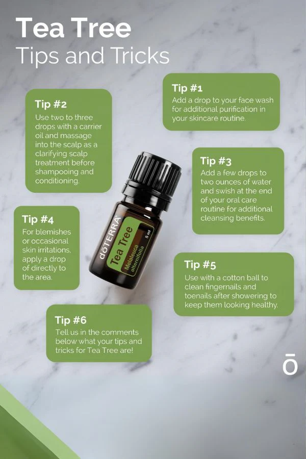 doTERRA Tea Tree (Melaleuca) Essential Oil 5 mL - Image 3