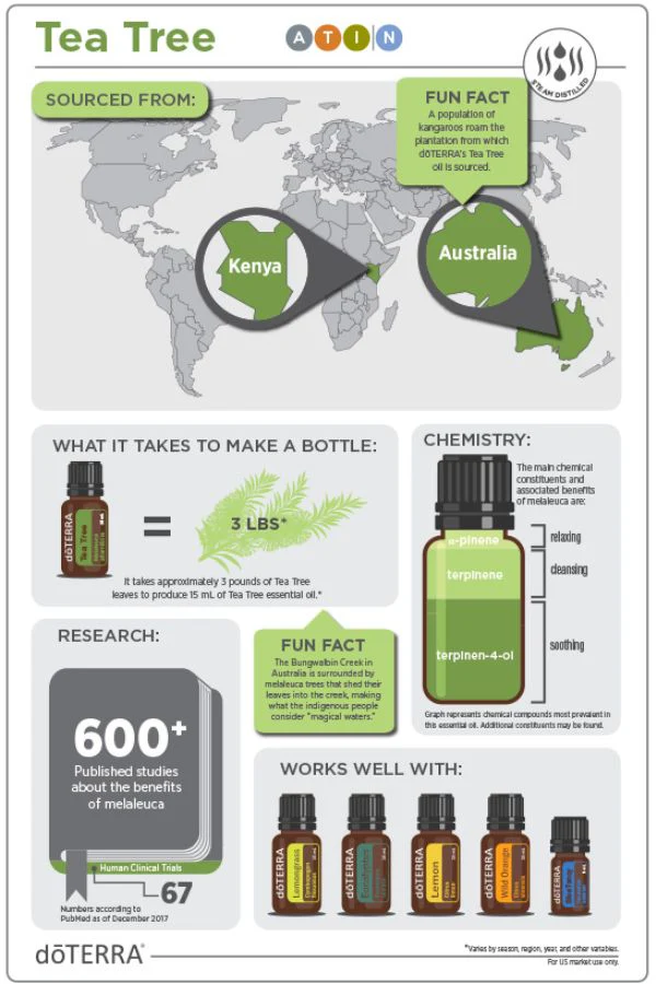 doTERRA Tea Tree (Melaleuca) Essential Oil 5 mL - Image 4