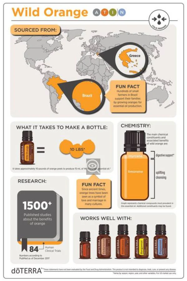 doTERRA Wild Orange Essential Oil 5 mL - Image 4